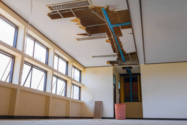 Best Water damage restoration company  in Pace, FL