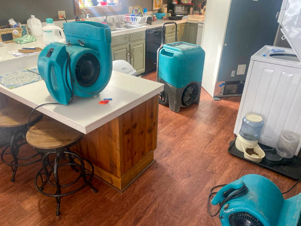 Best 24/7 water damage repair  in Pace, FL