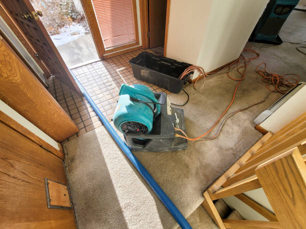 Best Water damage cleanup near me  in Pace, FL