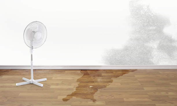 Sewage cleanup and water damage restoration in FL
