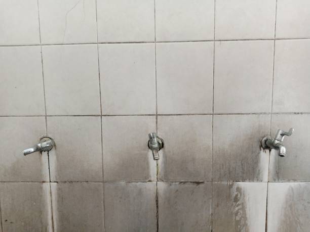 Best Sewage cleanup and water damage restoration  in Pace, FL