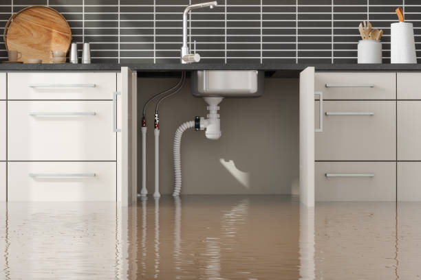 Best Water damage contractors near me  in Pace, FL