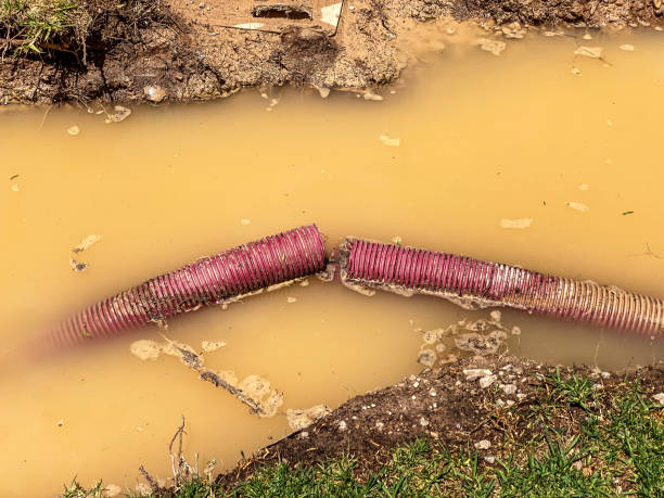 Best Water damage restoration services  in Pace, FL