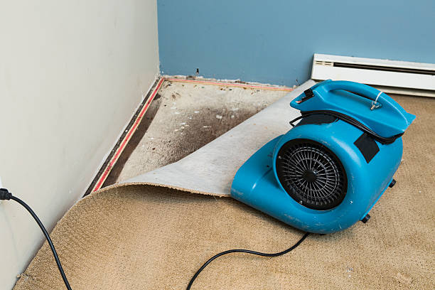 Best Emergency water damage restoration  in Pace, FL